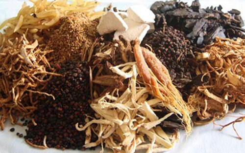 Phát triển nền y học dân tộc từ dược liệu