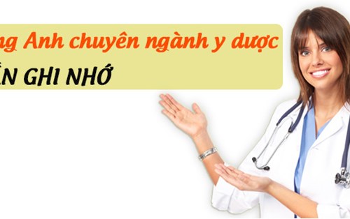 Các thuật ngữ và mẫu câu giúp học tiếng Anh chuyên ngành y dược