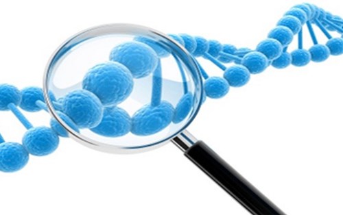 Thuốc sinh học tương tự (biosimilars): Thách thức và cơ hội
