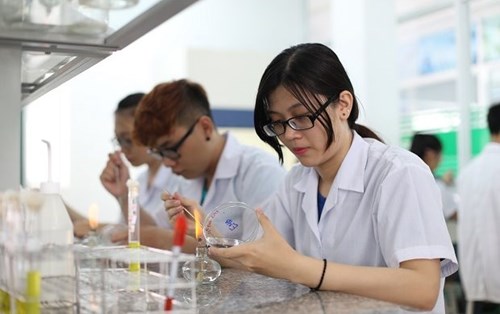 Ngành Dược và cơ hội việc làm sau khi ra trường