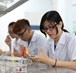 Ngành Dược và cơ hội việc làm sau khi ra trường