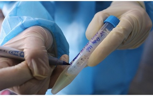 Covid-19 ở Đà Nẵng thuộc chủng virus mới, là chủng thứ 6 tại Việt Nam