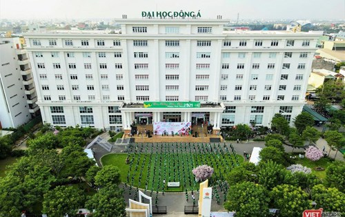 Toàn cảnh lễ hội giao lưu văn hóa Việt – Nhật và Ngày hội việc làm Nhật Bản 2021 tại Đà Nẵng