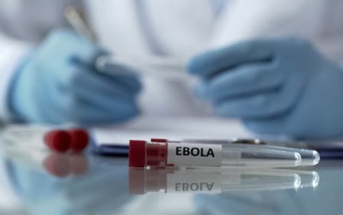 Vaccine Ebola được cấp phép cho sử dụng ở châu Âu